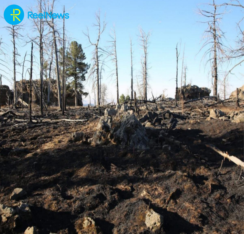 Улсын хэмжээнд өнөөдрийн байдлаар 12 аймгийн 59 сум, нийслэлийн 3 дүүрэгт нийт 100 удаагийн ой, хээрийн гал түймэр бүртгэгдсэн нь өнгөрсөн оны мөн үетэй харьцуулахад 38 хувиар өсчээ