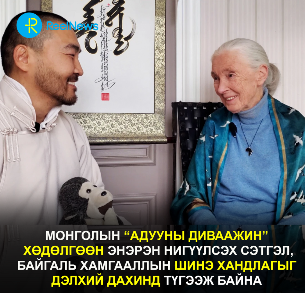 Монголын “Адууны диваажин” хөдөлгөөн энэрэн нигүүлсэх сэтгэл, байгаль хамгааллын шинэ хандлагыг дэлхий дахинд түгээж байна
