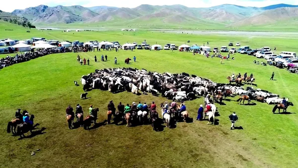 "Арвагар хээр" адууны баярыг цуцаллаа