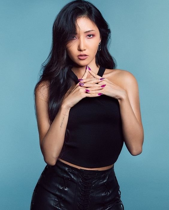 Hwasa Монголд дахин ирэхээр боллоо