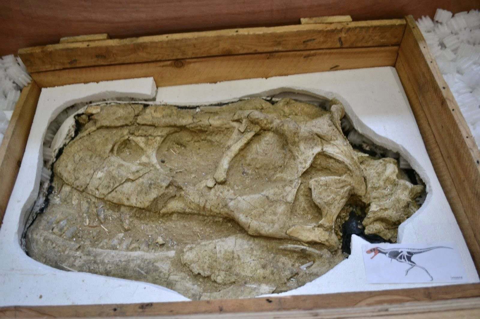 content 3366 596365000 1168076088