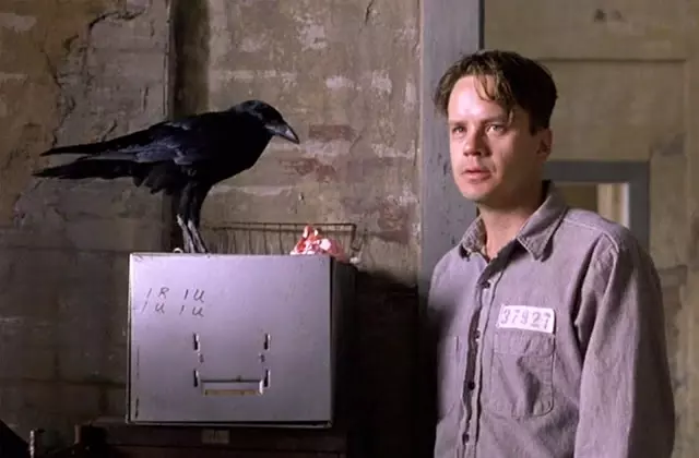 content 821 Shawshank jake crow